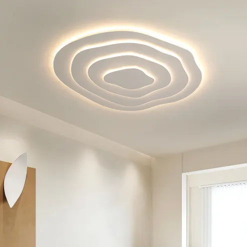 Minimalistische onregelmatige ronde plafondlamp ledlamp in speciale vorm