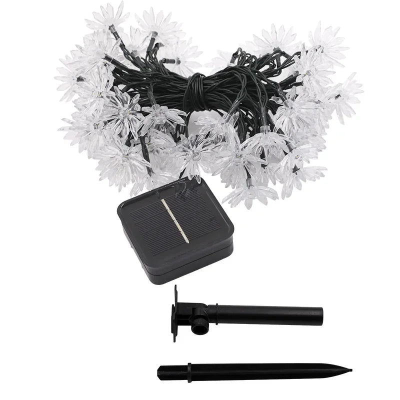 Peachparadise - ijs voor perzikbloesems