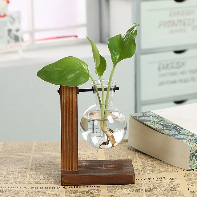 VerdantVistas - terrarium hydrocultuur plantenvaas
