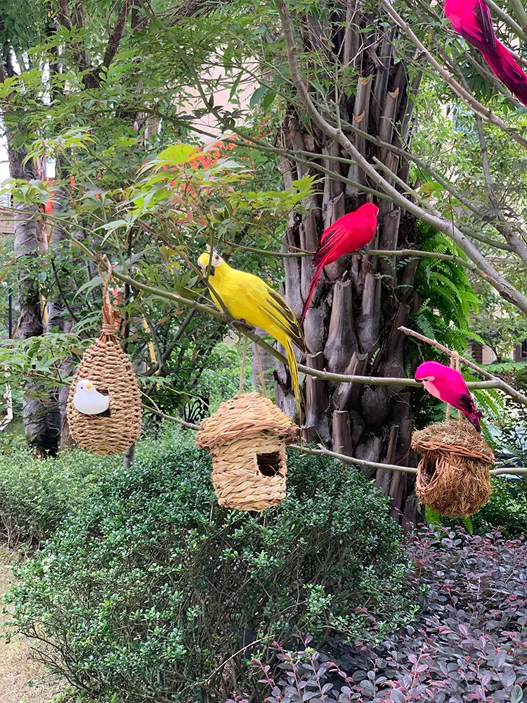 Tropicperch - decoratie voor de papegaaientuin