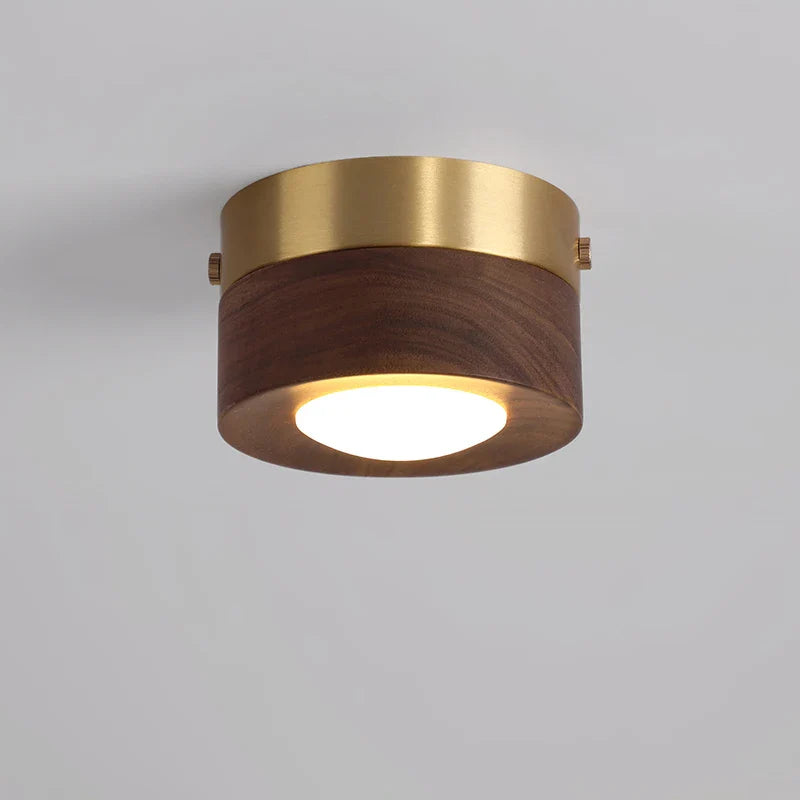 WoodenGlow - walnoot plafondlamp met LED schijnwerper