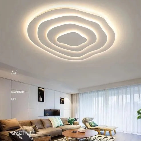 Minimalistische onregelmatige ronde plafondlamp ledlamp in speciale vorm